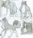 Old Drawings I found