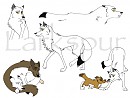 Anyu Doodles