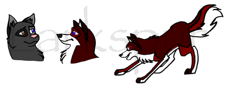 Mother/ Daughter Comparison