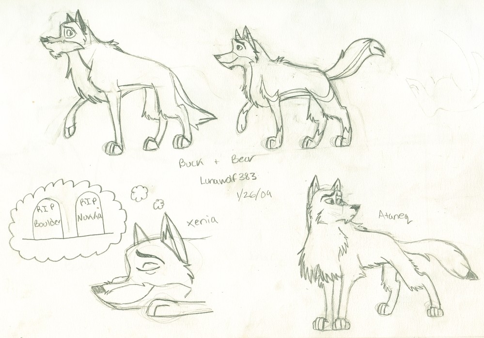 Doodles