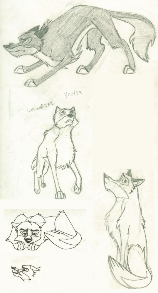 Buck Doodles