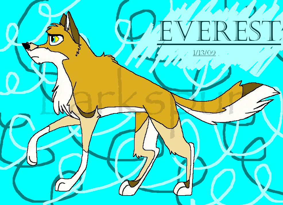 Everest!