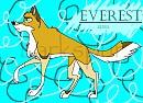 Everest!