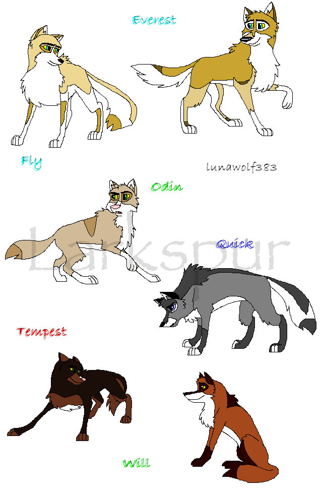 Everest's Pack