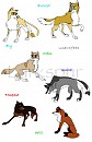 Everest's Pack