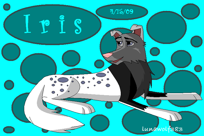 Iris!