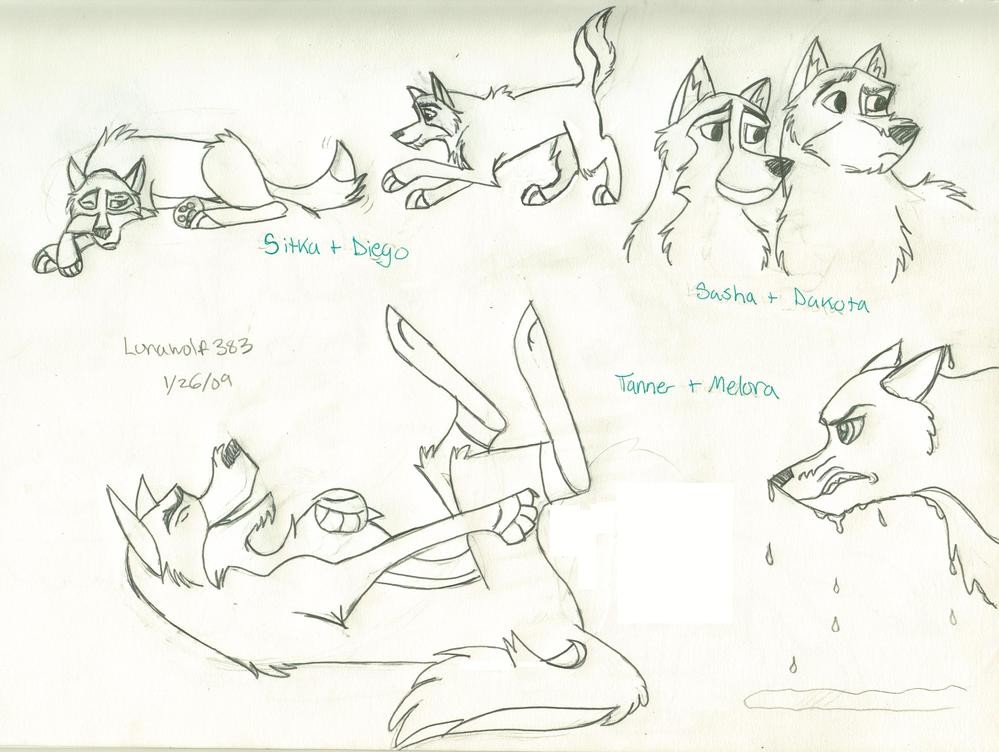 The Pack