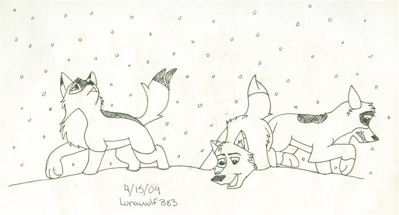 First Snow