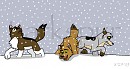 First Snow--- Colored In