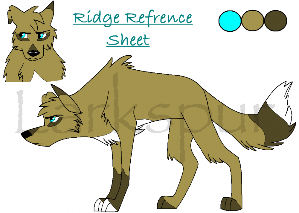 Ridge Refrence Sheet