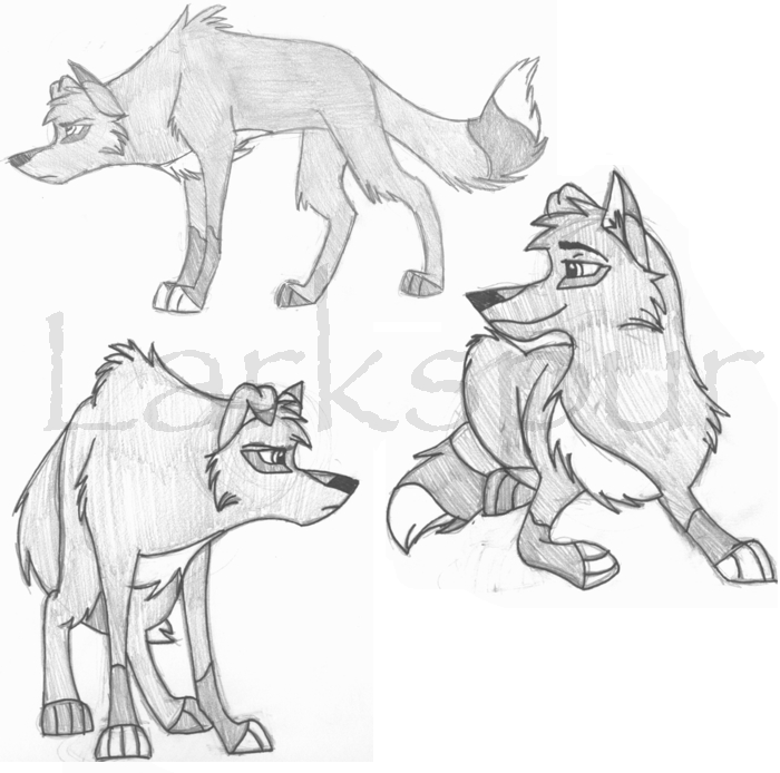 More Ridge Doodles...