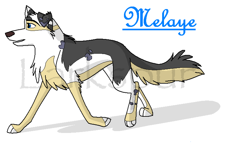Melaye!