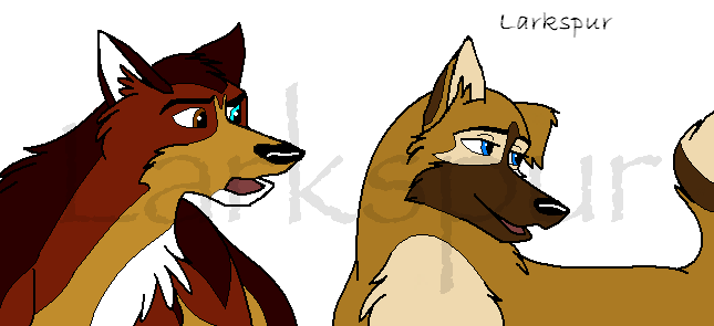 Redone