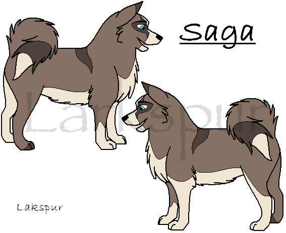 Saga!