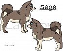 Saga!