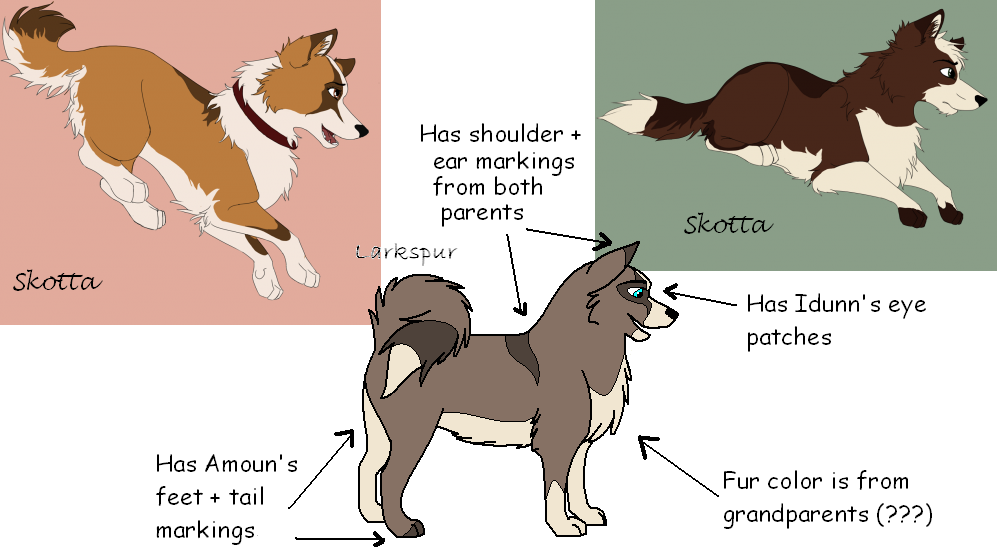 Daughter/ Mother/ Father Comparison 