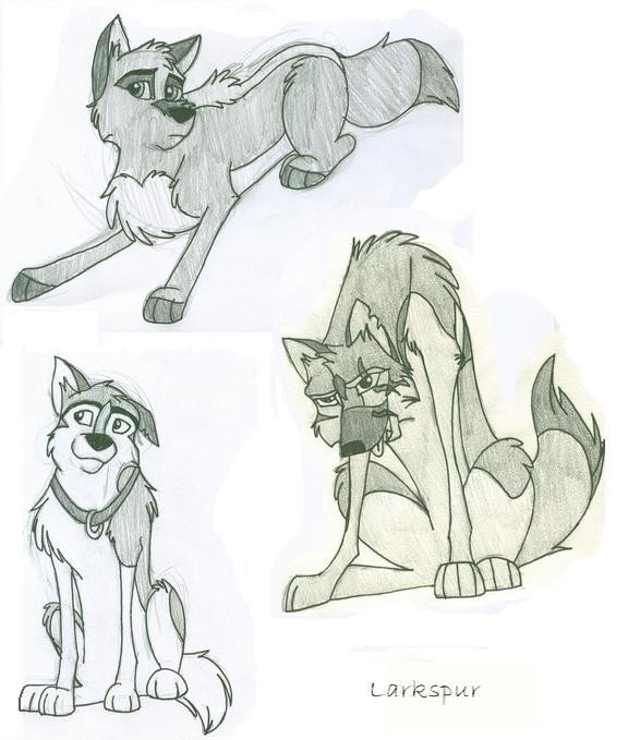 Some Doodles