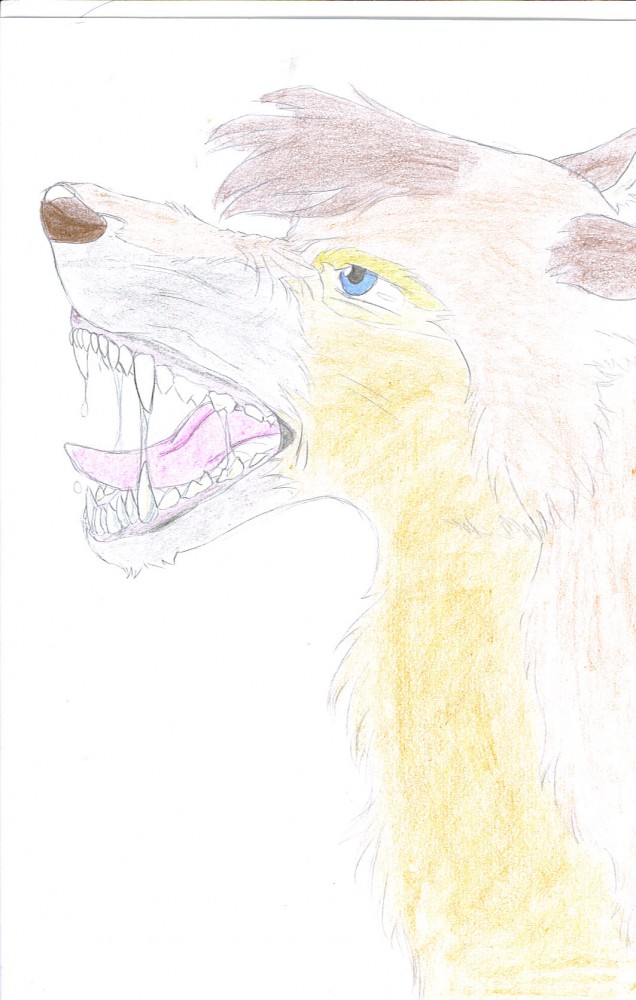 angry zaggy!![zag]