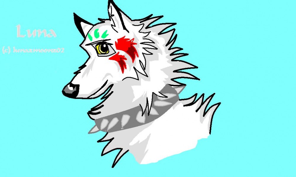 kool pic of luna!!!