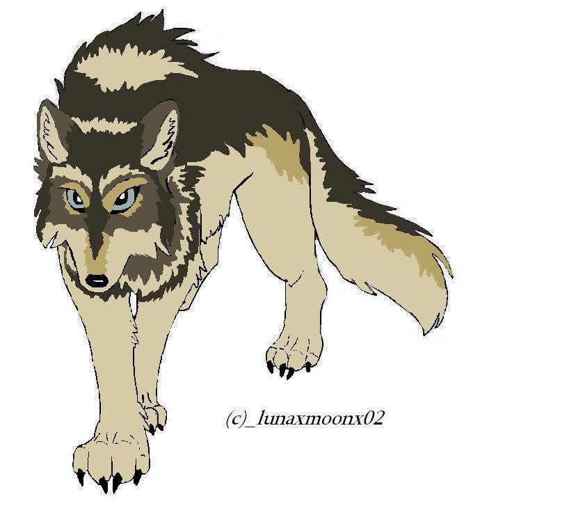 colored wolf linart 1