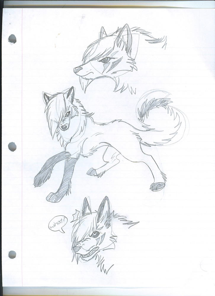 sketch of luna