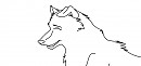 lineart of a hybrid dog