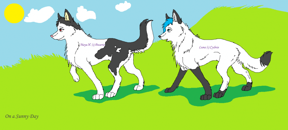 gift art to pecario