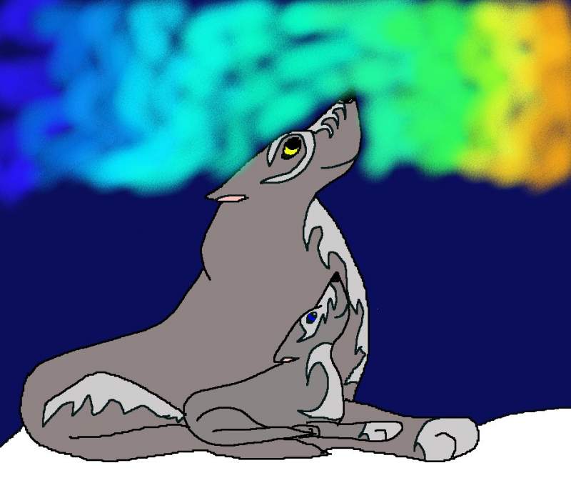 two wolves