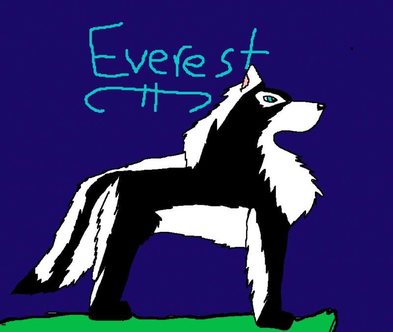 everest