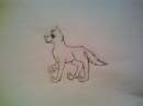 wolf sketh