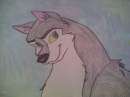 aleu correcting boris