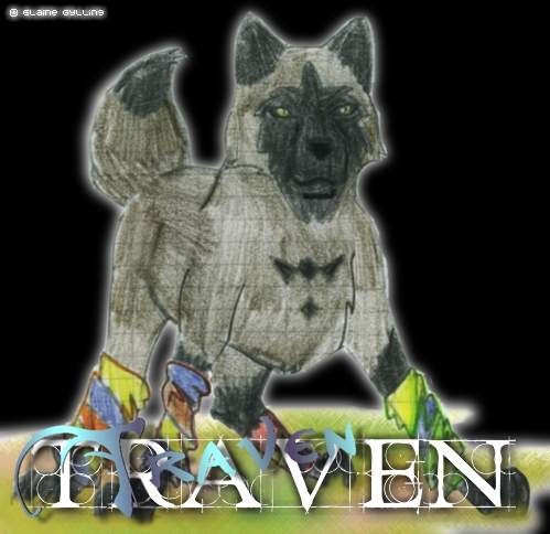 Traven