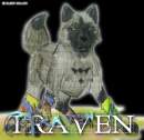 Traven