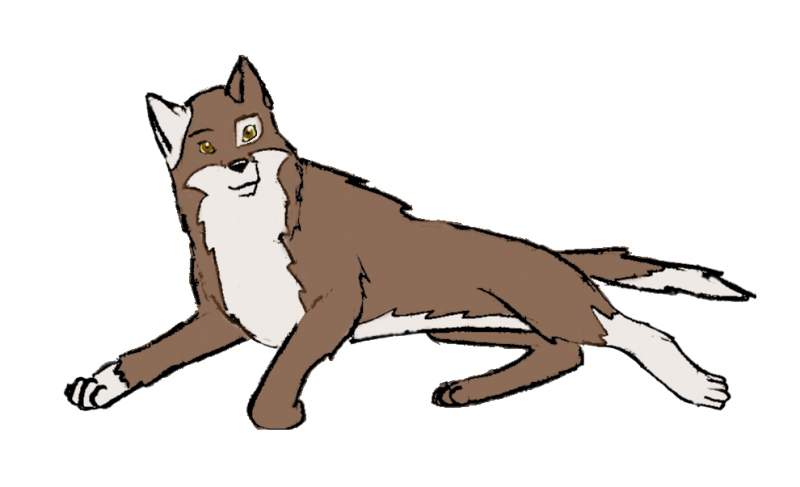 Eddi