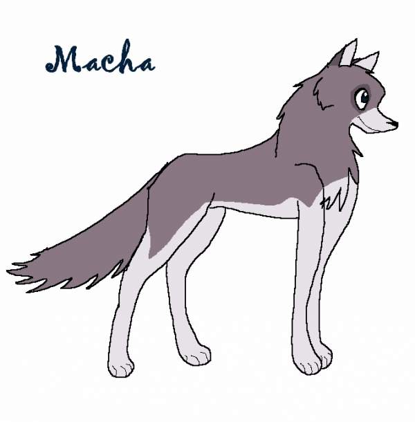 Macha