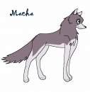 Macha