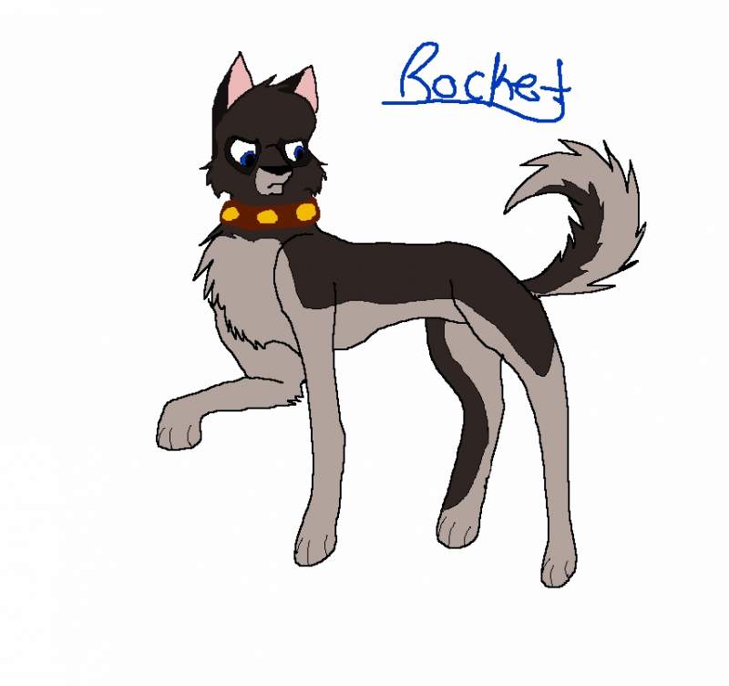 Rocket