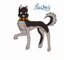 Rocket