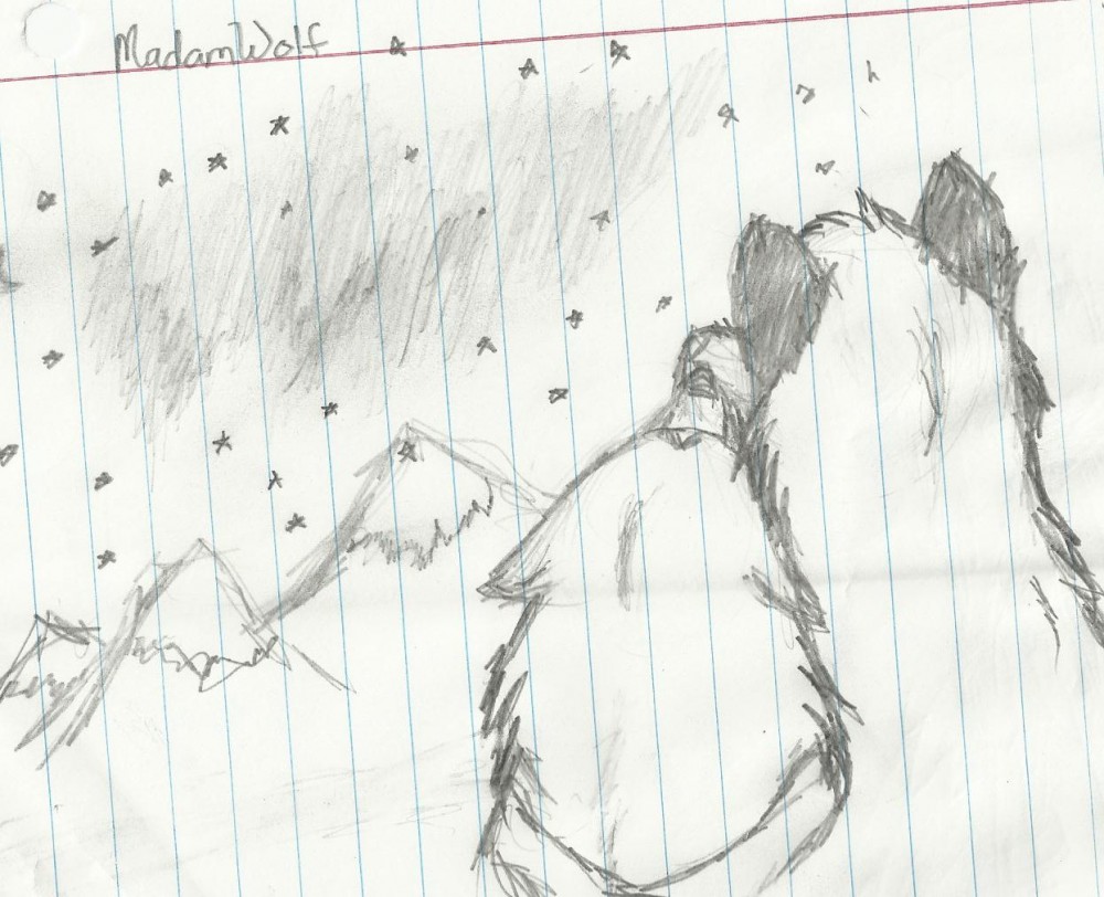 Watching the Skies
