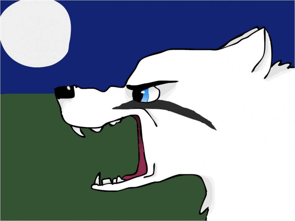 Angry face!!!