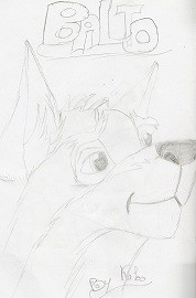 voila mon premier fan art=3