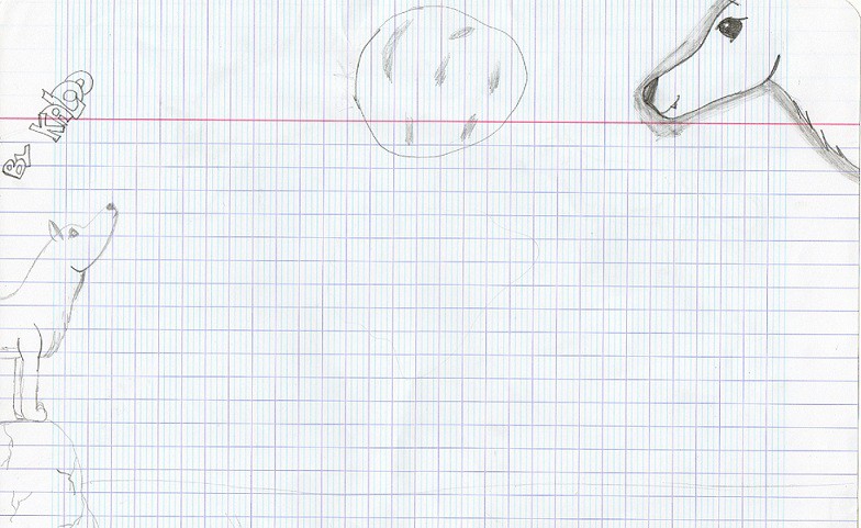 Dessin d'Anui et d'Aleu