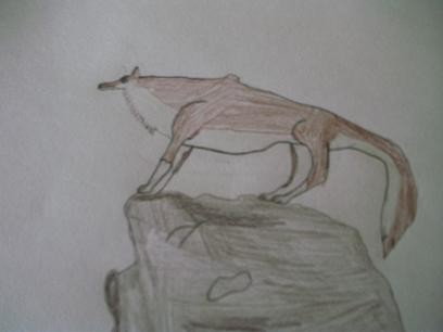 My drawing of Aleu
