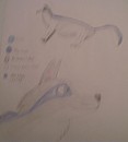 Adam's Refrence Sheet