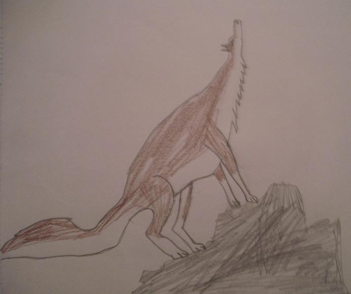 Aleu howling