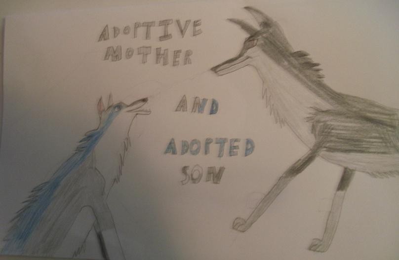 Adoptive mother and adopted son