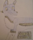 Shockwave