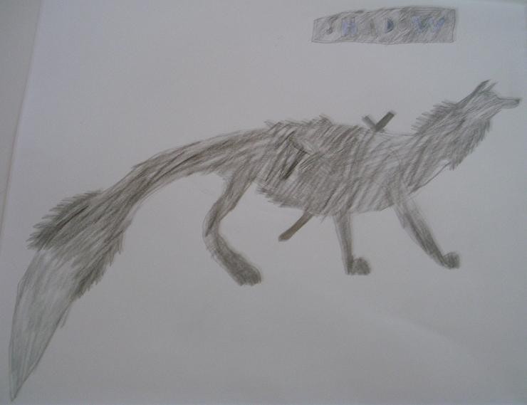 Shadow(updated)
