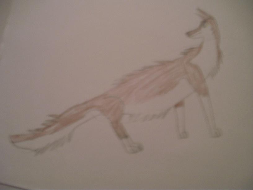 Aleu turnning