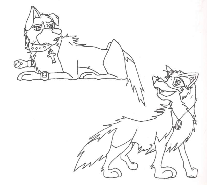 MaiMai and Renard